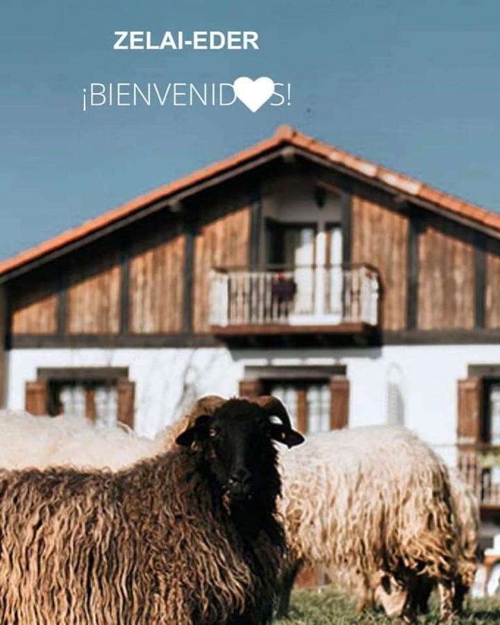 Zelai-Eder Villa San Sebastián Eksteriør billede